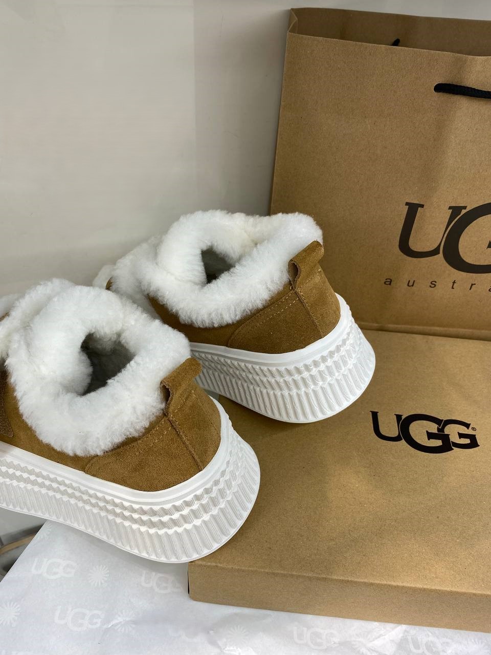 photo_4_2024-10-23_17-19-12
