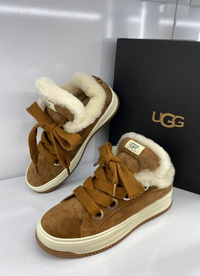 Аксессуар UGG (44)