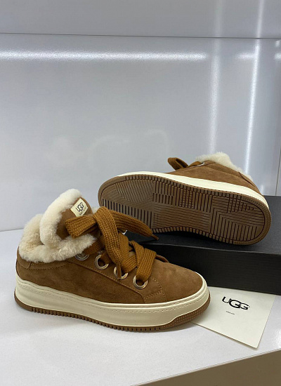 Аксессуар UGG (44)