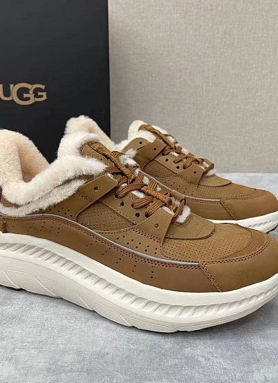 Аксессуар UGG (40)