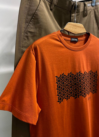 Футболка Zegna